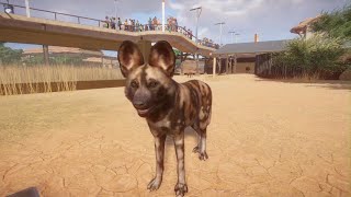 Planet Zoo African Wild Dog [upl. by Petrick]