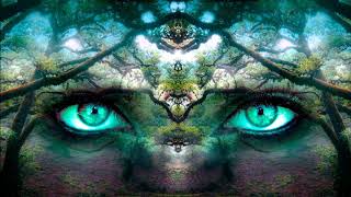 Forest of Wishes  Psychedelic Ambient amp Psychill Mix [upl. by Digirb186]