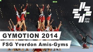 Gymotion 2014  FSG Yverdon AmisGyms [upl. by Baelbeer790]