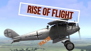 Rise Of Flight  Pfalz DIII [upl. by Demaggio]