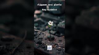 சிந்தனை செய் தினமே  Daily Meditation lAugust 28 2024 [upl. by Phillis]