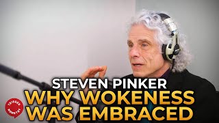 Steven Pinker  Why Young People Embraced Wokeness [upl. by Enyad]