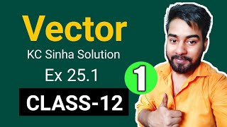 Vector Class 12  Introduction of Vector  KC Sinha Ex 251 Solution  Mathematics Origin [upl. by Worthy]