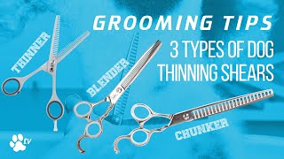 3 types of thinning scissors for dogs  Grooming Tips  TRANSGROOM [upl. by Ellehcyt]