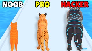 NOOB vs PRO vs HACKER in Cat Evolution [upl. by Orford]