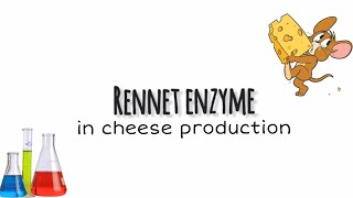 Rennet enzyme in cheese production  overview [upl. by Shurlock202]