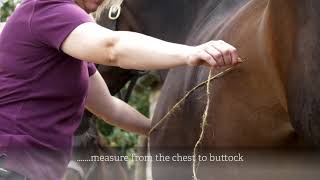 How to measure your horse for a rug [upl. by Acirrej430]