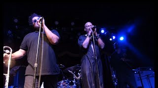 Fishbone Pouring Rain Brooklyn Bowl NYC 82418 [upl. by Adnara261]