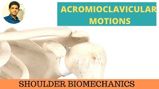 ACROMIOCLAVICULAR MOTIONS SHOULDER BIOMECHANICS [upl. by Asaeret416]