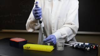 How to Use a Micropipette  SEP [upl. by Aurea]