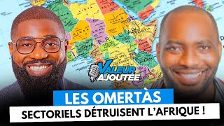 😲  « les omertàs sectoriels détruisent l’Afrique  » Dr Claudel Noubissie [upl. by Asselim]