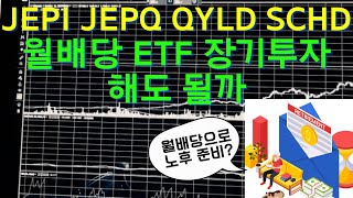 JEPI JEPQ QYLD SCHD 비교 차이 월배당 ETF 장기투자 해도 될까SCHD는 분기배당 [upl. by Atinihc]