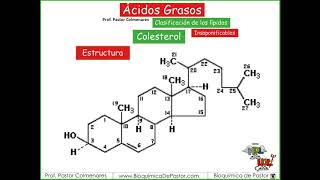 Esteroides  Ácidos grasos Parte XIV [upl. by Witt26]