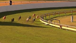 Bundaberg22072024Race11 [upl. by Der]