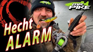 Hecht ALARM am BAGGERSEE  24 Stunden Hechtangeln im Winter  Deadbaiting amp Gummifisch [upl. by Hiro224]