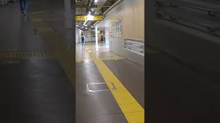 武蔵小杉駅の横須賀線ホーム下にあるコンコースを歩く [upl. by Rinee]