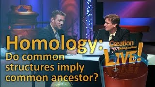 Homology  do common structures imply common ancestor Creation Magazine LIVE 324 [upl. by Pasquale]