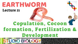 Class 11Zoology LecturesDiscuss Copulation Cocoon formation Fertilization amp Development221 [upl. by Curr]