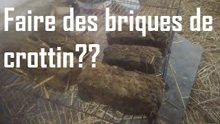 Des briquettes de crottin en combustible  to make horse manure bricks [upl. by Iliak]