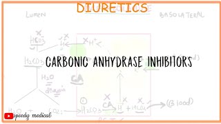 Diuretics Acetazolamide and Carbonic Anhydrase Inhibitors Pharmacology [upl. by Hobard]