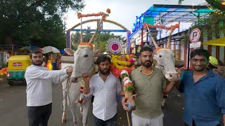 Varthur Santhosh bulls  Vijayadashami procession [upl. by Niwdla]