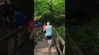 Worsley Woods parkrun — Steps [upl. by Cusack]