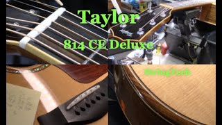 Taylor 814CE Deluxe  Full Calibration [upl. by Nameerf]