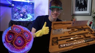 Frag Toxic Corals Zoas The Right Way EcoTech Coral Propagation Kit [upl. by Ennairac]