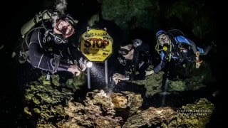 Nurkowanie  Cenoty  Meksyk 2016  CN Diving NET [upl. by Ferdinanda]