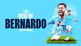 BEST OF BERNARDO SILVA 2223  Fantastic goals and assists [upl. by Yenttihw]