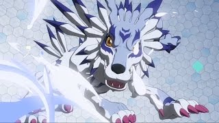 Gabumon Digivolve To Garurumon Tri English Dub [upl. by Timothy]