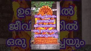 സർപ്പ ദോഷമുള്ള നക്ഷത്രങ്ങൾastrology shortsfeed shorts [upl. by Starr]