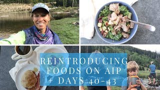 Reintroducing Foods on AIP  What I ate on Autoimmune Paleo Days 4043 [upl. by Rovit118]