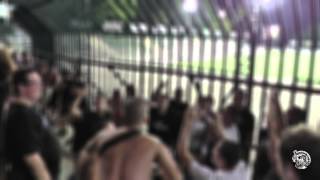 Ti Ti Ti Ja volim SAMO TEBE  🥁 bubanj  PFC Ludogorets Razgrad  Partizan 30072014 [upl. by Ladnek361]