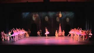 Gelsey Kirkland Ballet Sleeping Beauty [upl. by Eiclek]