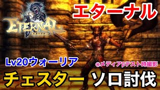 【エターナル】 謎の集団の隠れ家 闇の首領 ウォーリアVSチェスター ソロ討伐 【ETERNAL】 アソビモ OAKAT [upl. by Philcox]