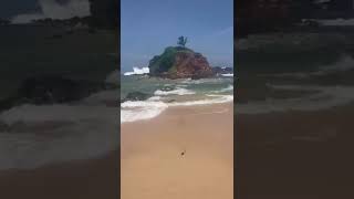 Parrot rock in Mirissa beach 🌅🏖️🏝️🌊 [upl. by Zulema154]