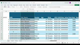 Webinar Excel [upl. by Rebane699]