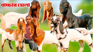 ❤️❤️🐐🐐 বাচ্চা ছাগলের মেলা ইলিয়াস ভাই এর ছাগলের বানিজ্যিক খামারে  সংগ্রহ করুন হাই কোয়ালিটি বাচ্চা [upl. by Sirroned]