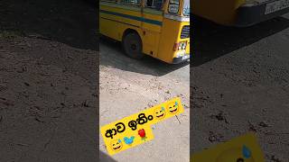 best village to visit in srilanaka by ctb bus [upl. by Yeaton]