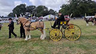 Carriage Driving Aylsham show 2024 [upl. by Jesse]