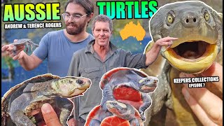 AUSTRALIAN TURTLES w Andrew amp Terence Rogers  KEEPERS COLLECTIONS  Ep 7 [upl. by Acinorev]