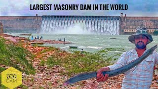 Monstrous Baam eel fishing in Nagarjuna sagar dam [upl. by Enimzaj]