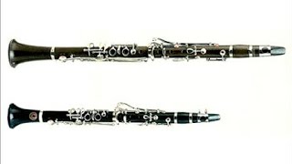 Comparison  Eb vs Bb Clarinet [upl. by Idalia46]