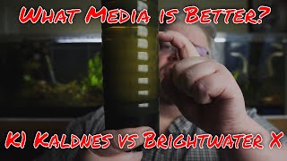 Which Biological Media is Better for a Moving Bed Filter K1 Kaldnes vs Brightwater X Series [upl. by Phenica]