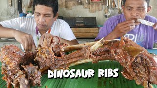 DINOSAUR RIBS [upl. by Enilav]