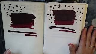 Diamine Writers Blood Ink Review [upl. by Bourke]