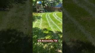 66 Nolensville TN Clip 1 1man1mowerlandscaping selfmade lawncare June2024 Landscaping [upl. by Mendez]