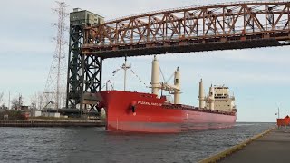 New Canadian cargo ship addressing climate change docks in Hamilton [upl. by Esiuolyram677]