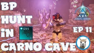 Carno Cave for BP Looting  Official PVE  Ark Survival Ascended [upl. by Asiled336]